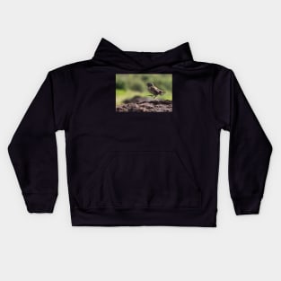 Galapagos Finch Kids Hoodie